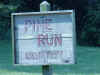 PineRun1.jpg (50542 bytes)